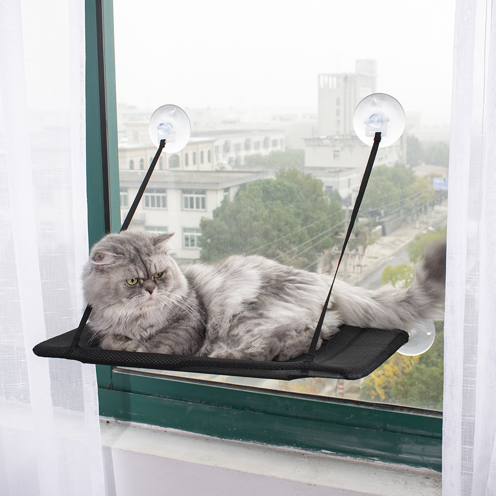 Cat Window Hammock Single Layer