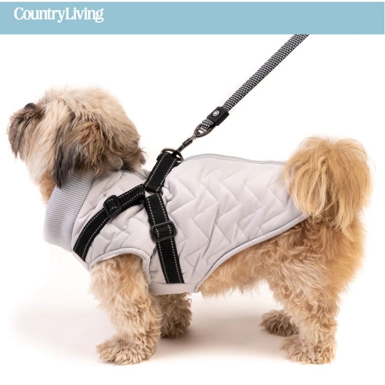 blind dog jacket
