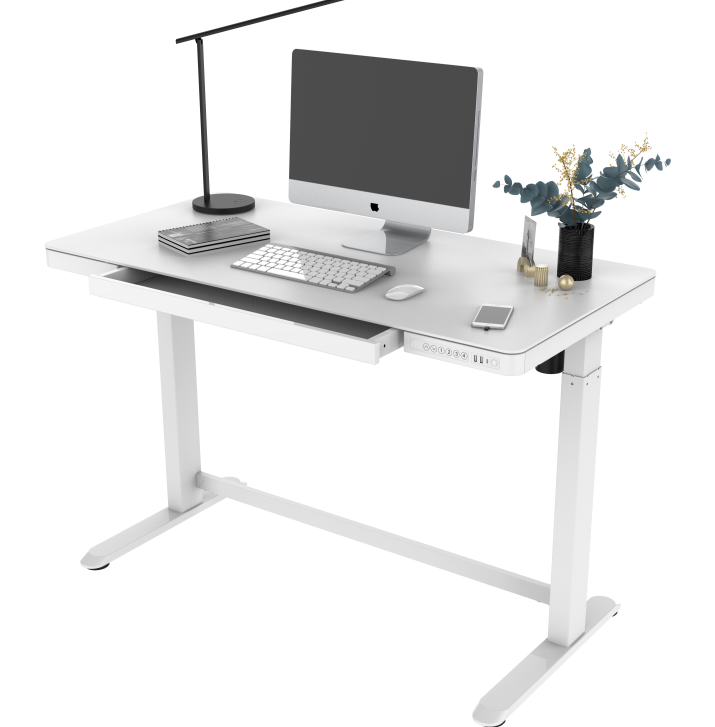Electric Standing Desk Adjustable Desk Riser PrimeCables.ca