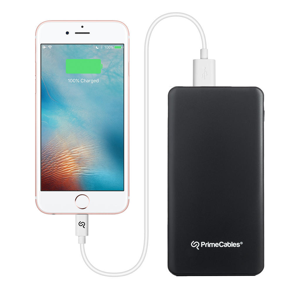 E3173 primecables cab tp 130 power bank 5000mah power bank battery charger type c usb a dual output primecables 