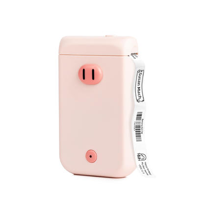 Portable Labeler Bluetooth Label Maker D30S, Pink