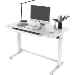 Bureau électrique Réglable En Hauteur DEVAISE 120x60 Cm - Plateau Chêne, Moteur Silencieux | Pour Télétravail, Bureau Assis-debout Ergonomique | Hauteur De 72 à 120 Cm