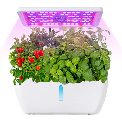 Hydroponics Growing System, Indoor Herb Garden Starter Kit with LED Grow Light
