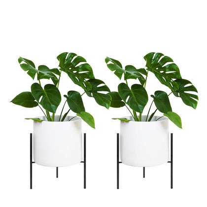 10" PLANT STAND,2 PACK